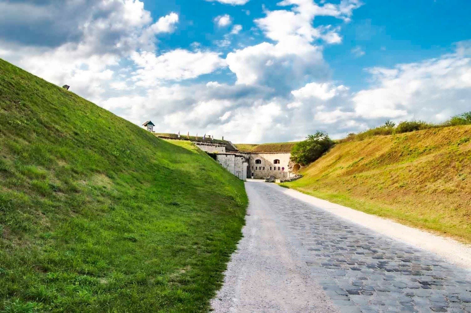 547171722 24831065526517208 5496149797652608081 n