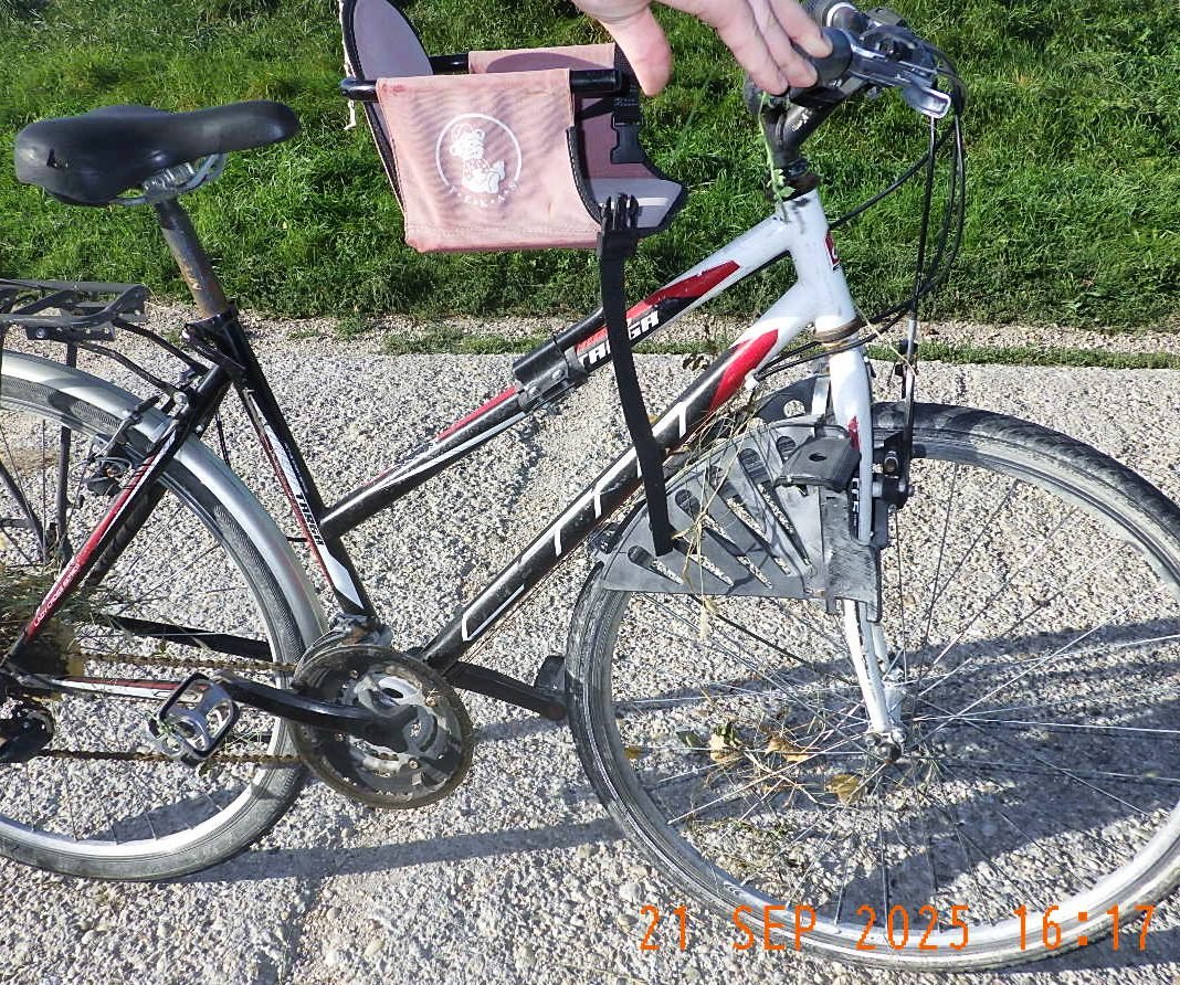 550447067 1205162354992973 6680246056676516256 n