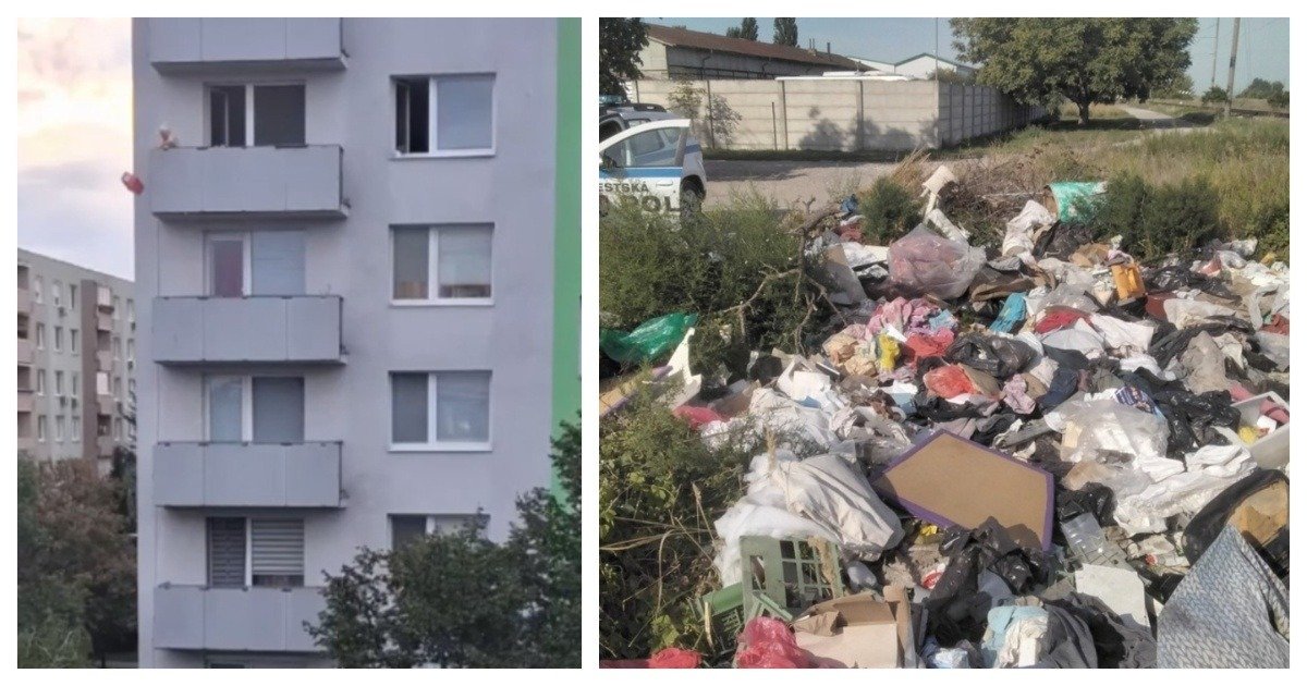 MixCollage 26 Sep 2025 09 39 AM 8501