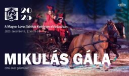 482810198 1074134524760996 2880538204589339351 n