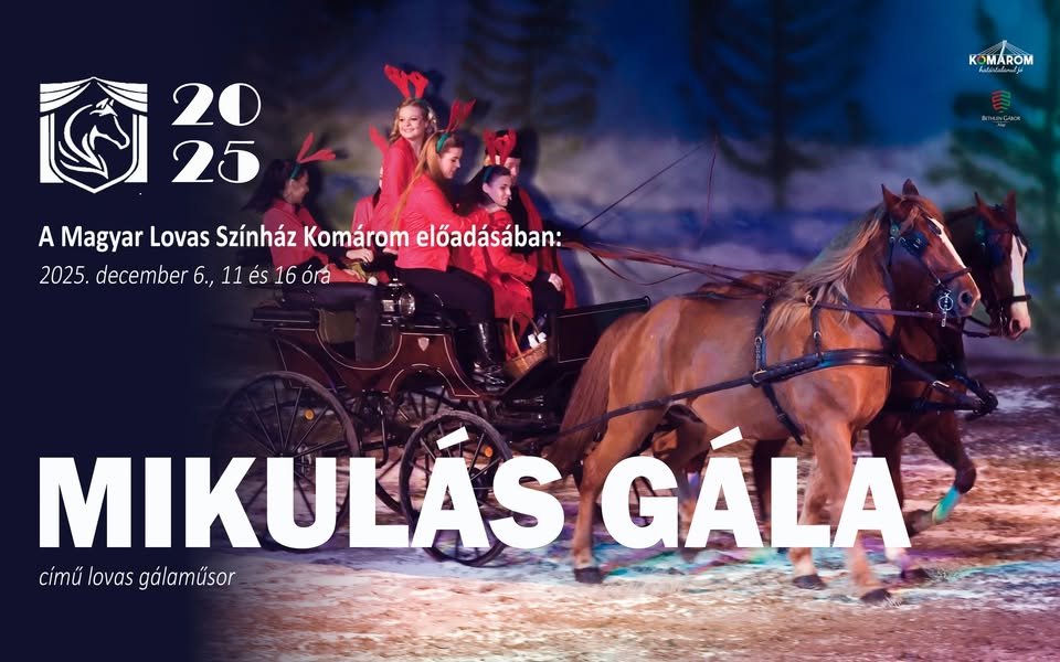 482810198 1074134524760996 2880538204589339351 n