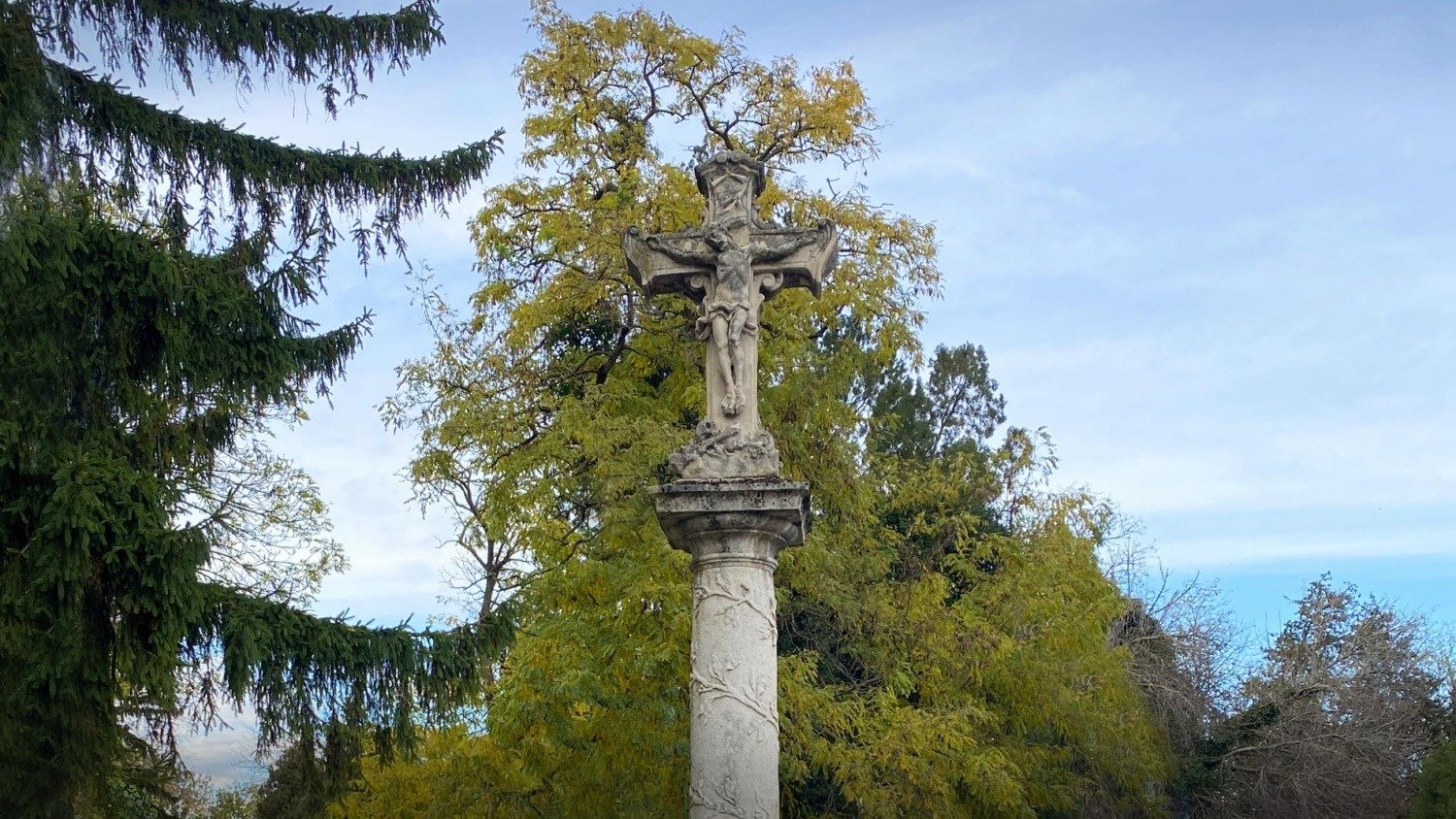 571736825 2173786246465304 6671073272587846965 n