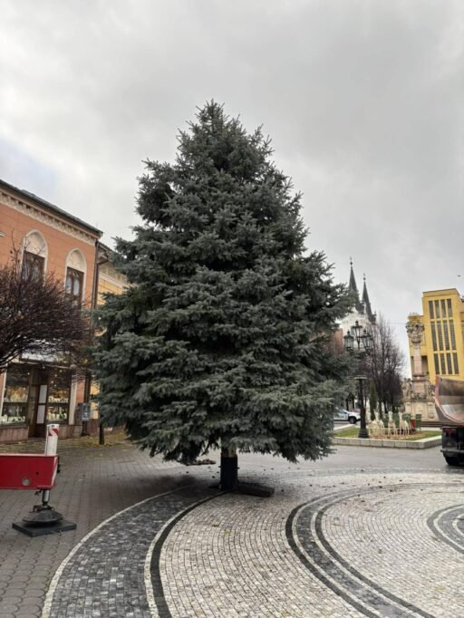 586249580 1440460604750938 2196623400605807613 n