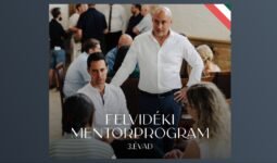 MixCollage 19 Nov 2025 03 53 PM 6979