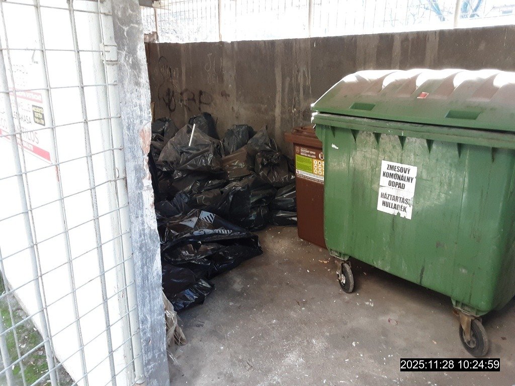 598571163 1450603733739131 3196566525334106550 n