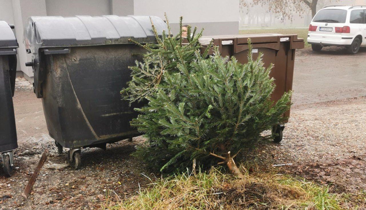 608535302 1466014555531382 4310121181171612055 n