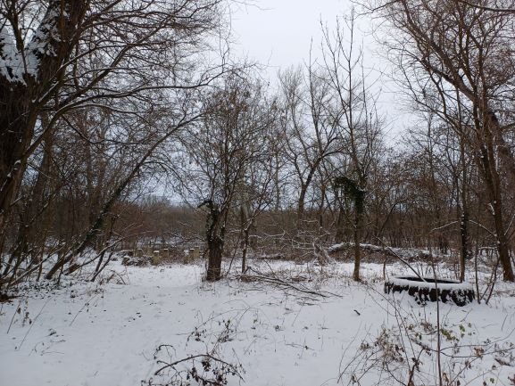 612328447 26009620942057755 5576068095899335131 n