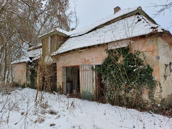 613741146 26009620665391116 5189715192133212679 n