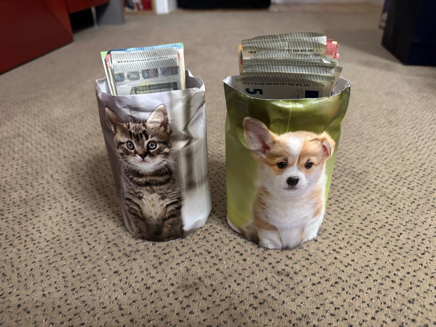 Jótékonysági támogatás az állatmenhelyeknek 5 IMG 9175