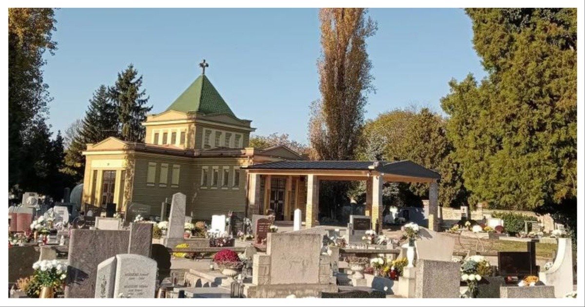 MixCollage 07 Jan 2026 04 47 PM 8552