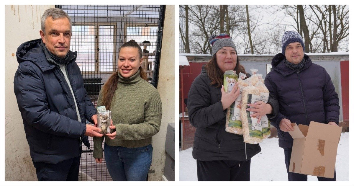 MixCollage 09 Jan 2026 04 58 PM 6394