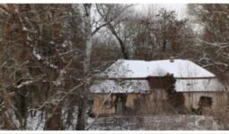 MixCollage 13 Jan 2026 05 33 PM 4451