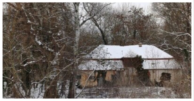 MixCollage 13 Jan 2026 05 33 PM 4451