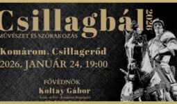 MixCollage 15 Jan 2026 04 27 PM 1354