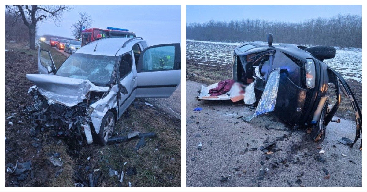 MixCollage 26 Jan 2026 07 06 PM 3272