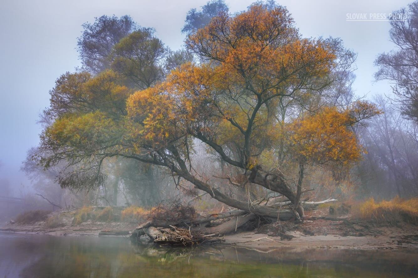 A komáromi Martin Kučera sikere a Szlovák Sajtófotó Pályázaton 2 628638589 1512626757531021 4672756395984876494 n