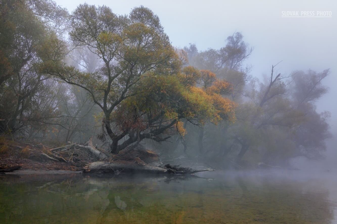 A komáromi Martin Kučera sikere a Szlovák Sajtófotó Pályázaton 3 637707442 1512626834197680 7049732410122654666 n