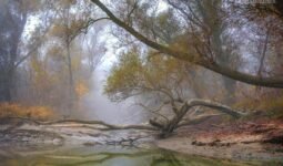 637813590 1512626844197679 2567872077681495674 n