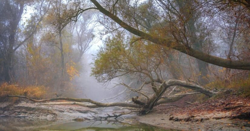 637813590 1512626844197679 2567872077681495674 n