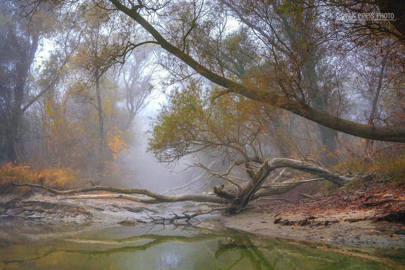 637813590 1512626844197679 2567872077681495674 n