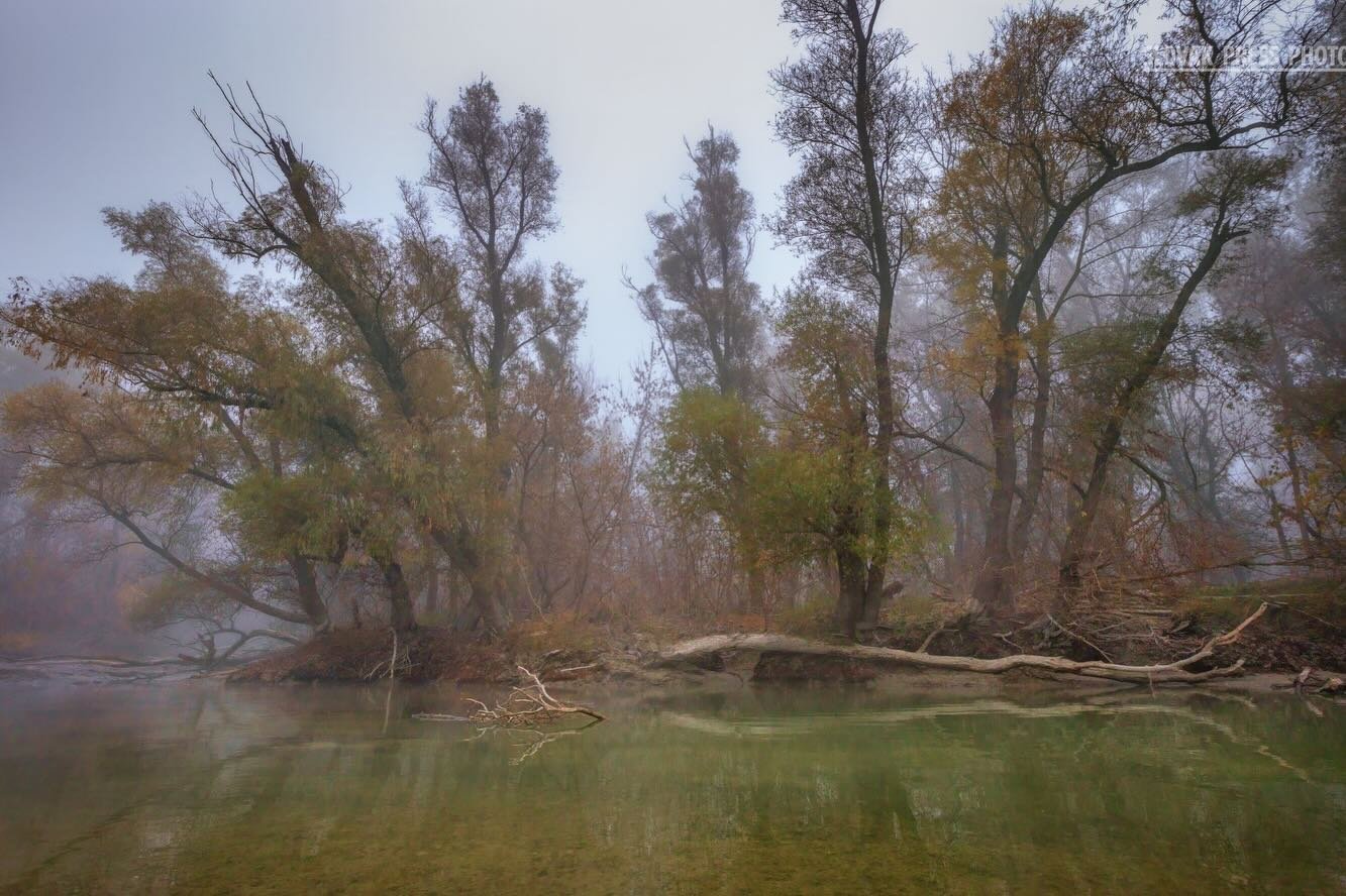 A komáromi Martin Kučera sikere a Szlovák Sajtófotó Pályázaton 4 641203308 1512626770864353 5751499137656886492 n