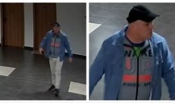 MixCollage 16 Feb 2026 03 33 PM 8398