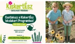 MixCollage 16 Feb 2026 04 15 PM 5355