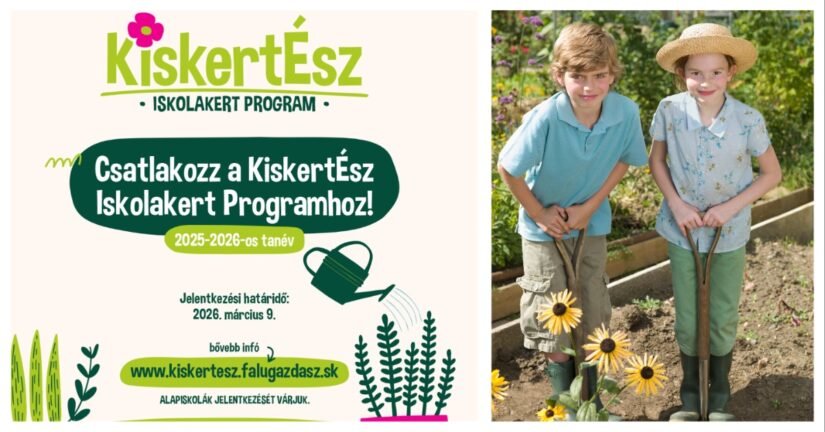 MixCollage 16 Feb 2026 04 15 PM 5355