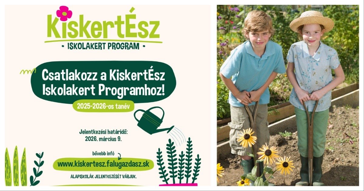 MixCollage 16 Feb 2026 04 15 PM 5355