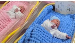 MixCollage 17 Feb 2026 03 23 PM 4683