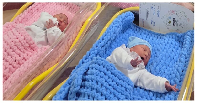 MixCollage 17 Feb 2026 03 23 PM 4683