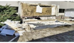 MixCollage 25 Feb 2026 10 41 AM 5185