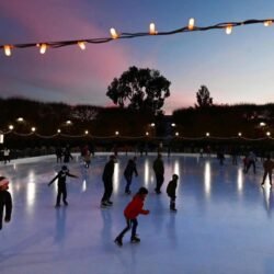 494081392_1247819540684219_4755361947514382515_n (1)