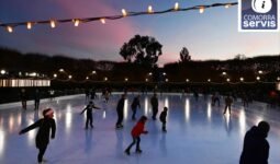 494081392 1247819540684219 4755361947514382515 n 1