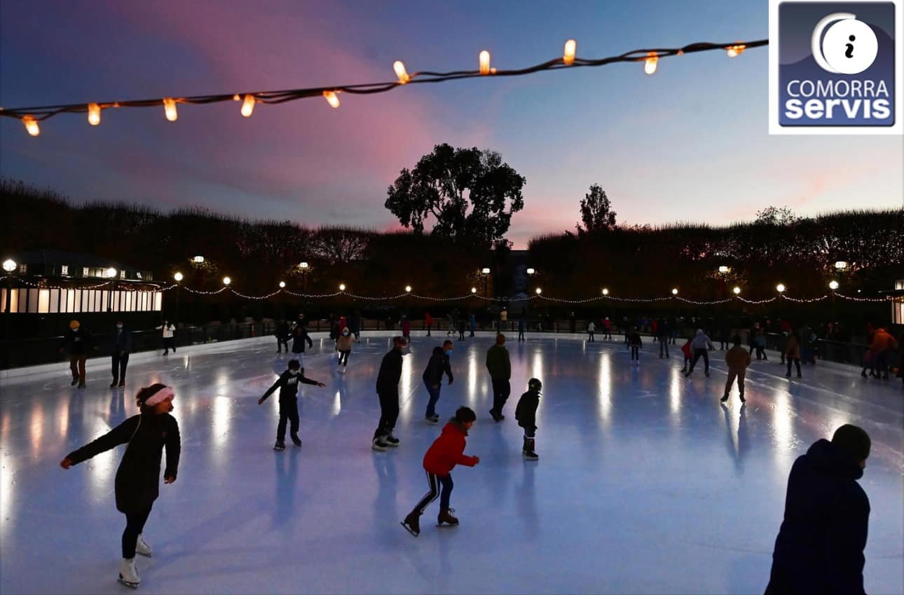 494081392 1247819540684219 4755361947514382515 n 1