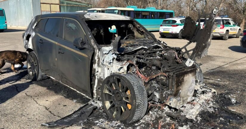 649609947 1342550631254144 3504485678468751433 n