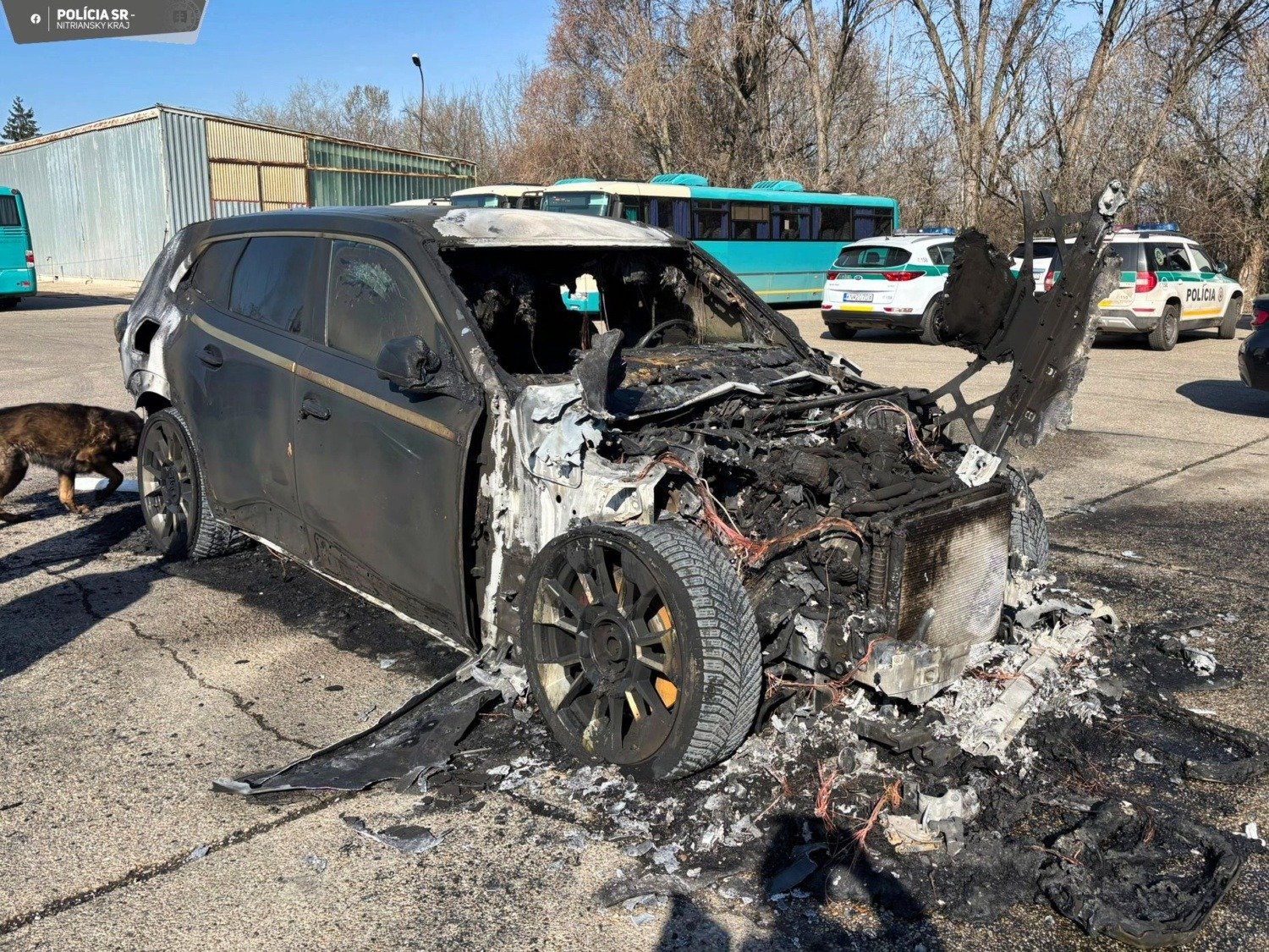 649609947 1342550631254144 3504485678468751433 n