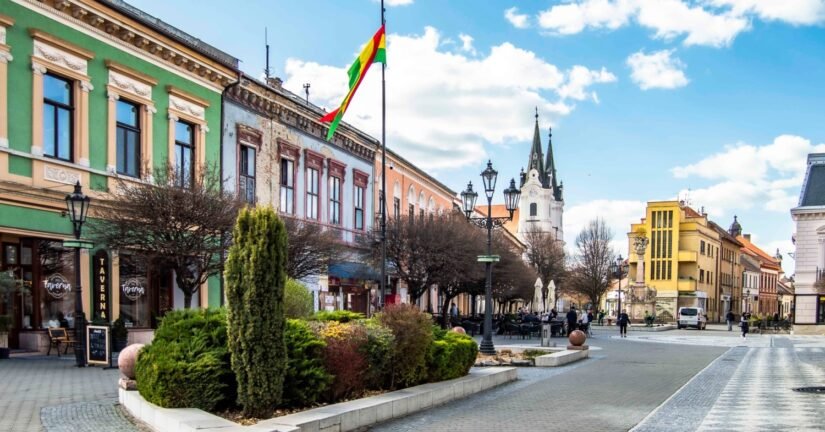 653846192 26546574018299675 1961150955973701190 n 1