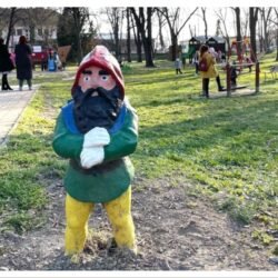 MixCollage-13-Mar-2026-03-31-PM-8308