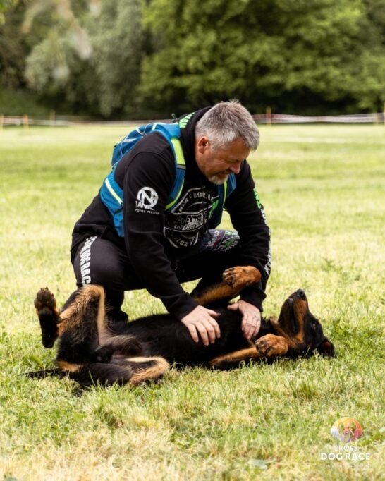 Cross Dog Race 2026: Fuss az örömért, és segíts az otthonra váró kutyáknak 3 GE3A4869