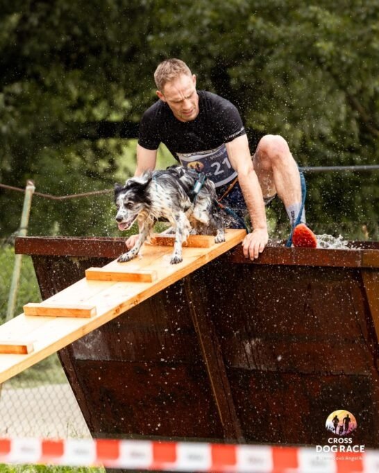Cross Dog Race 2026: Fuss az örömért, és segíts az otthonra váró kutyáknak 9 GE3A6383