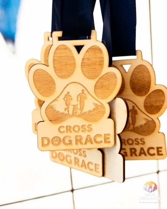 Cross Dog Race 2026: Fuss az örömért, és segíts az otthonra váró kutyáknak 10 GE3A6555