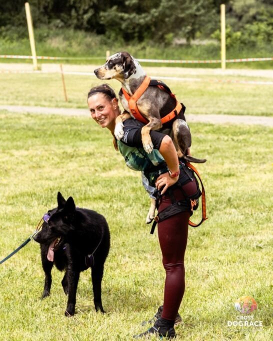 Cross Dog Race 2026: Fuss az örömért, és segíts az otthonra váró kutyáknak 12 GE3A6571