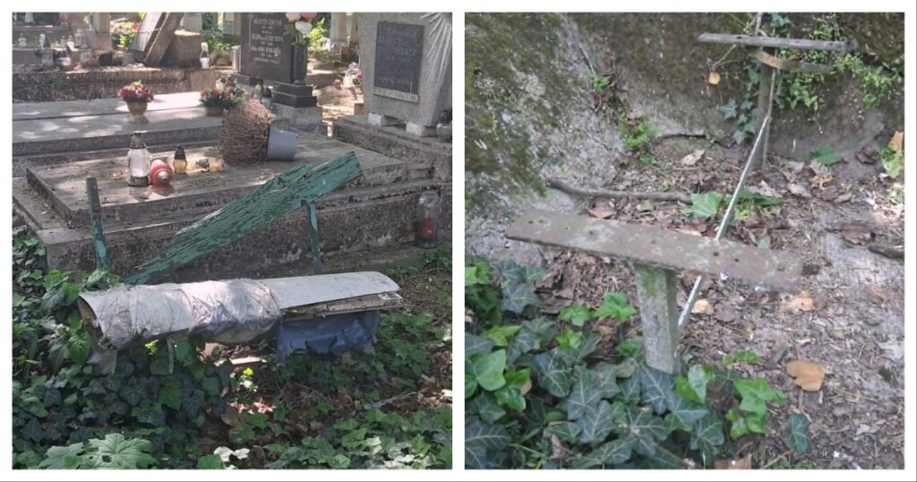 MixCollage 30 Apr 2026 05 31 PM 1702