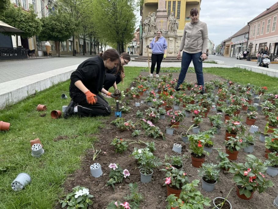 Komárom főtere ismét színesebb és barátságosabb lesz 3 virag2