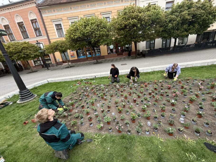 Komárom főtere ismét színesebb és barátságosabb lesz 4 virag3