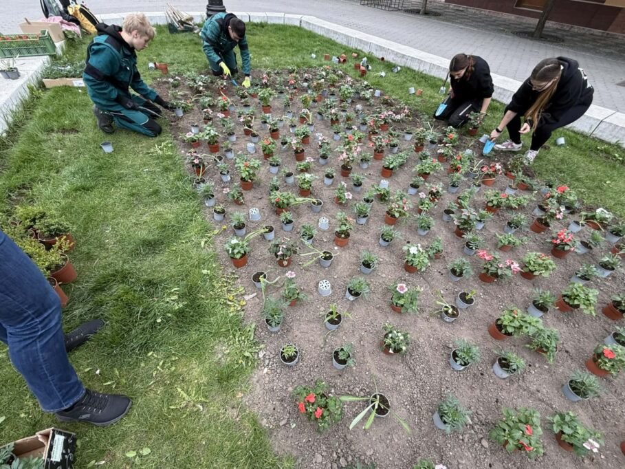 Komárom főtere ismét színesebb és barátságosabb lesz 5 virag4