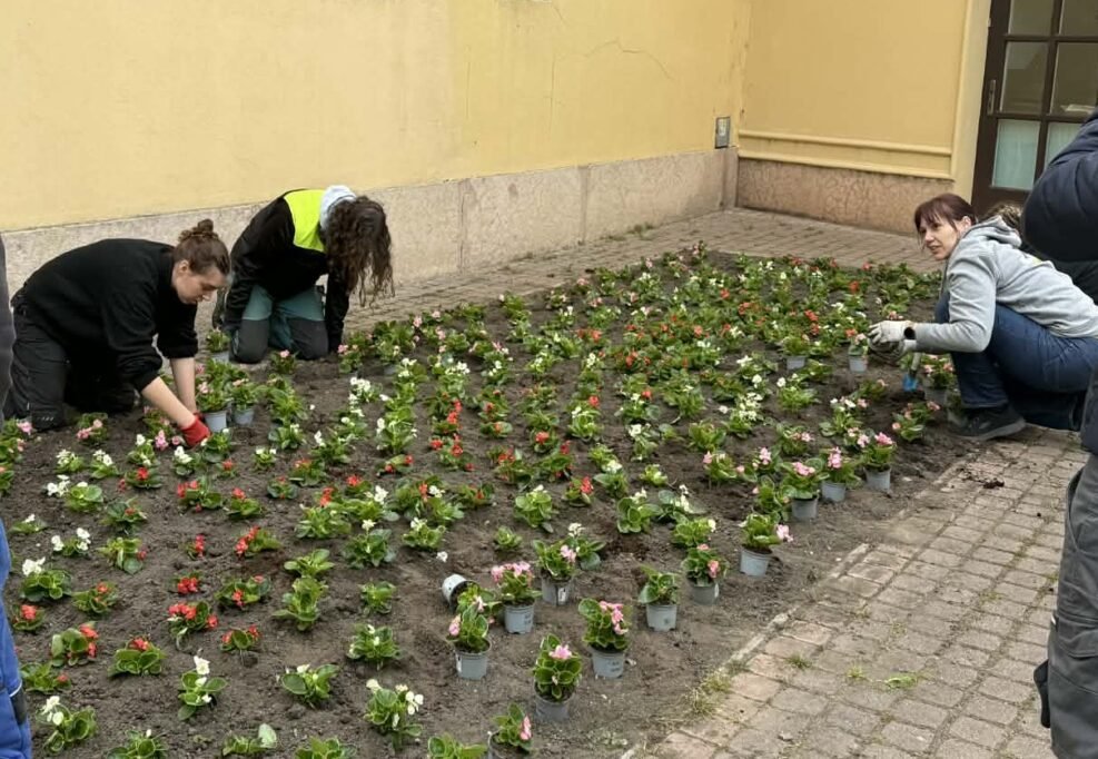 Komárom főtere ismét színesebb és barátságosabb lesz 6 virag8