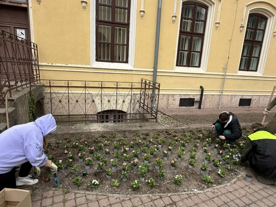 Komárom főtere ismét színesebb és barátságosabb lesz 7 virag9