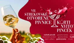 Strekov cerv 1